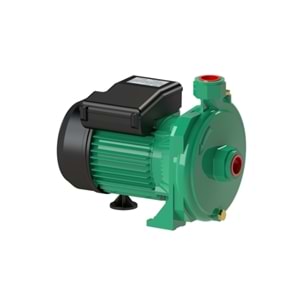 TROY HM10 1 HP. 220 V. YATAY MİLLİ SANTRİFÜJ POMPA