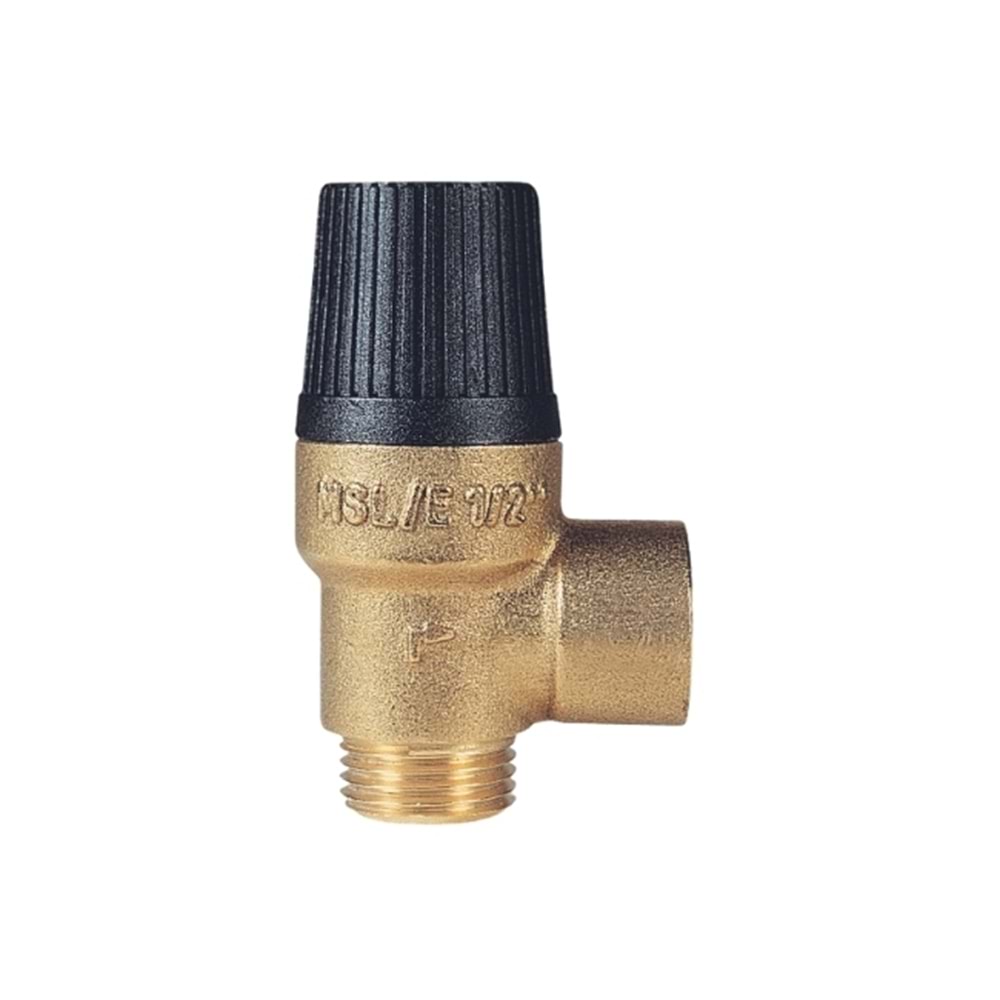 WATTS MSL 0206530 1/2